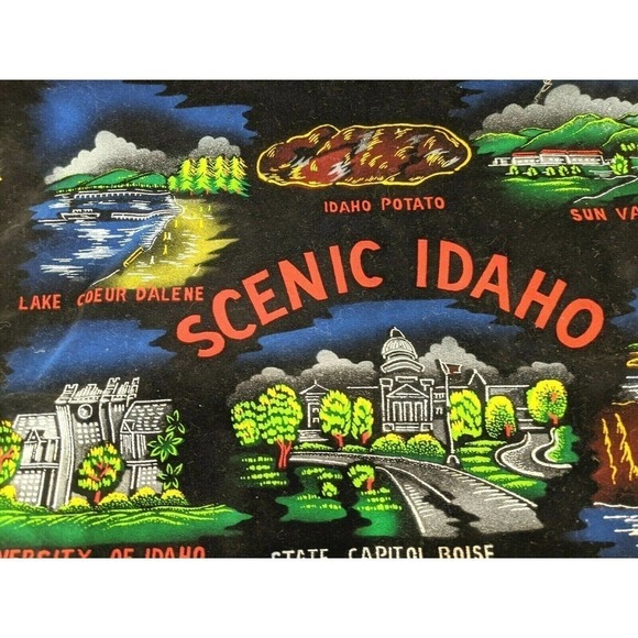 Idaho Pillow Cover Wall Hanging Black Velvet - Picture 1 of 6